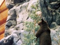 photos 2000-200901000
